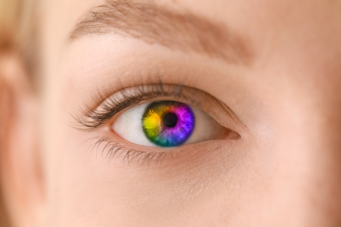 Kobieta. Soczewka kolorowa. 